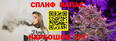 амф Севастополь